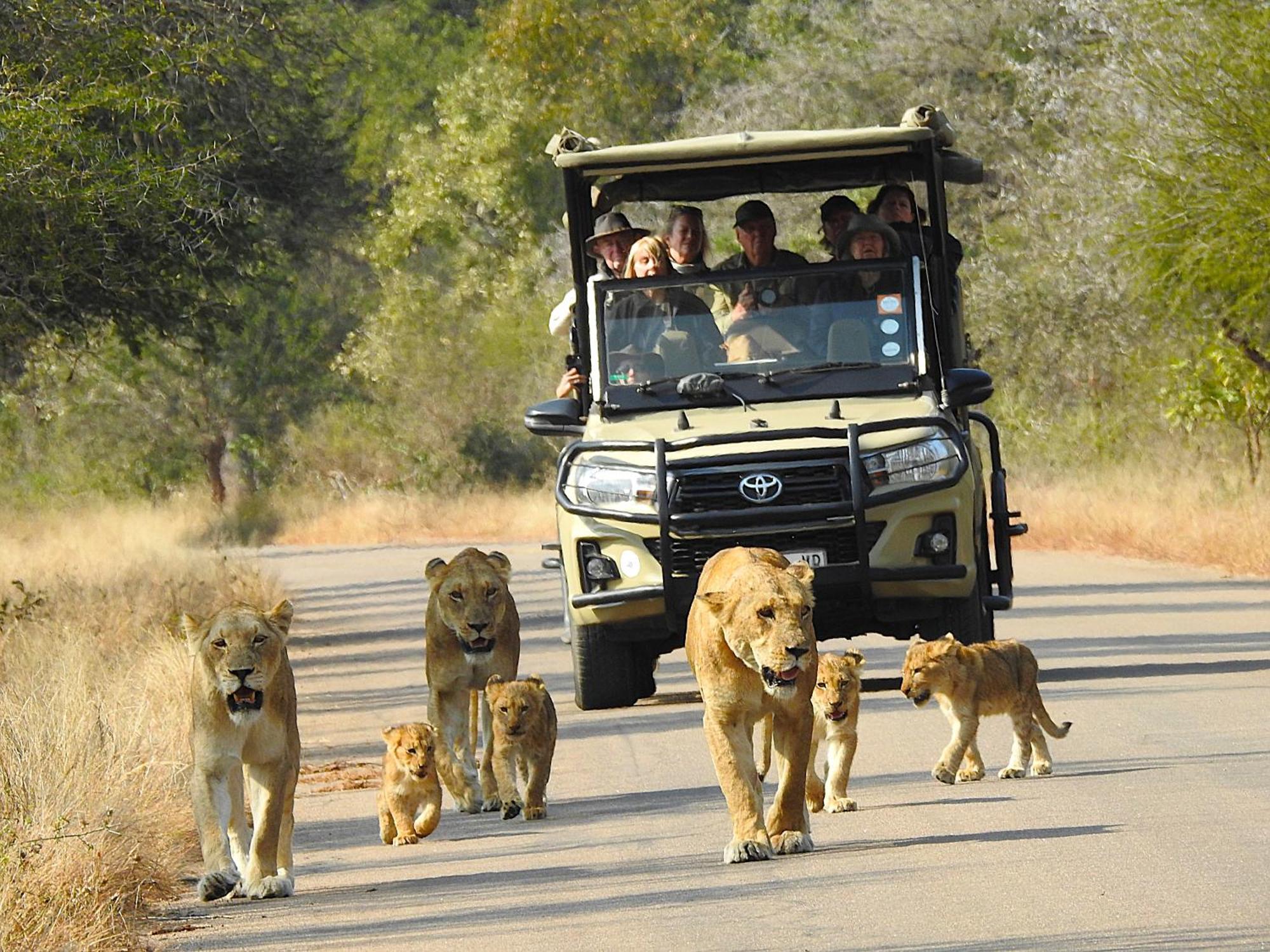 Ubuntu Bed And Breakfast Marloth Park Exterior foto