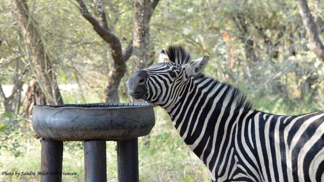 Ubuntu Bed And Breakfast Marloth Park Exterior foto